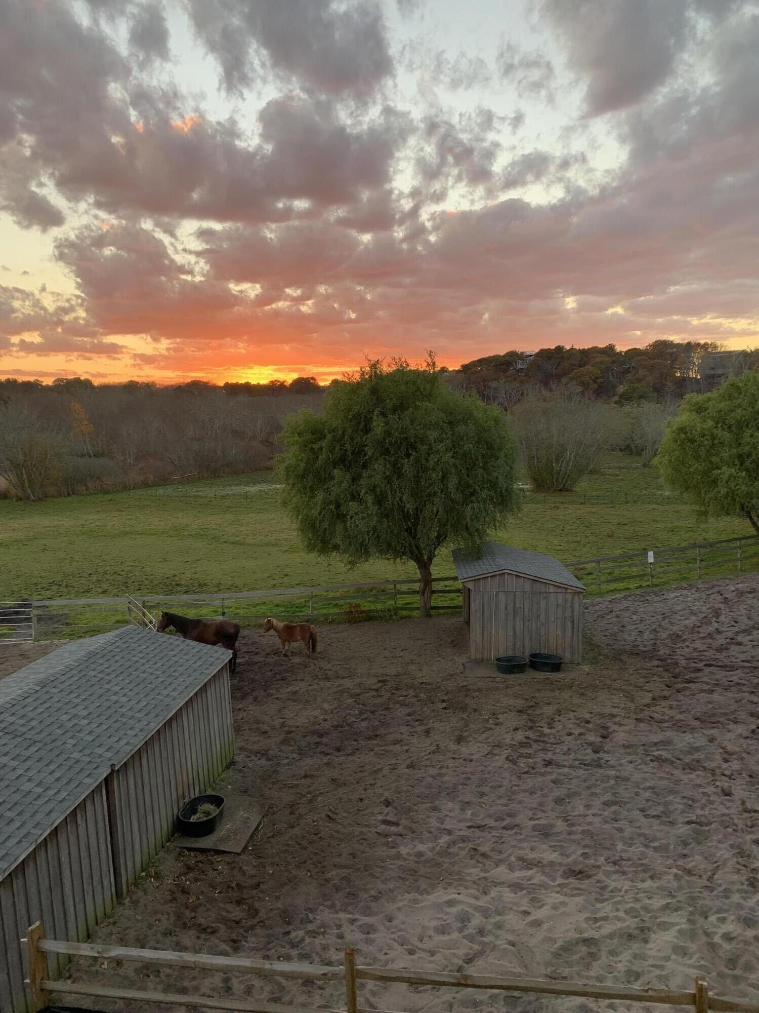 70 W Vine Street. Provincetown, MA 02657