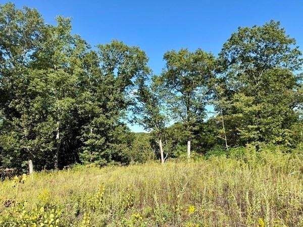 20 Nature View Drive. Wrentham, MA 02093