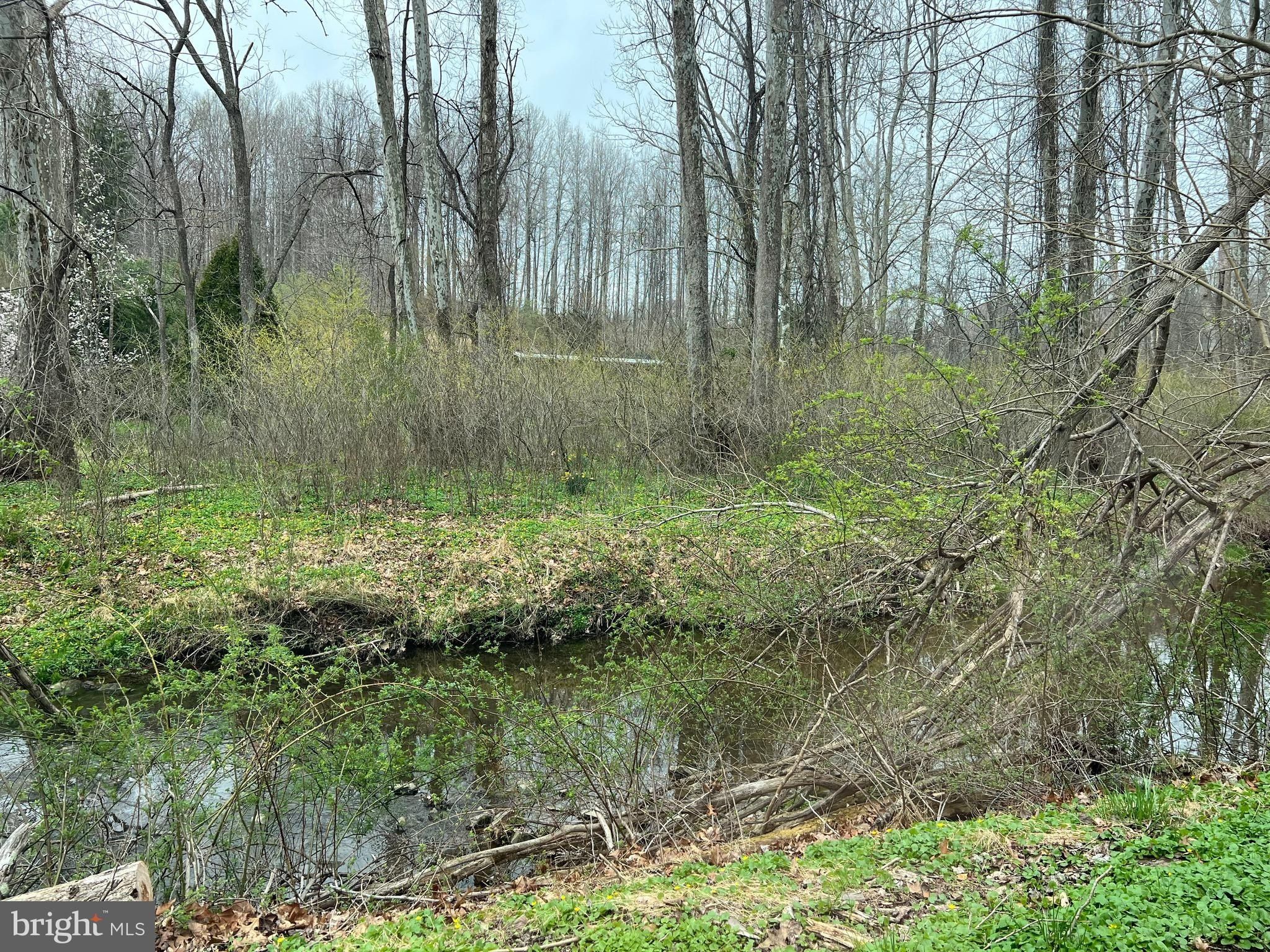 Dogwood Road. Windsor Mill, MD 21244