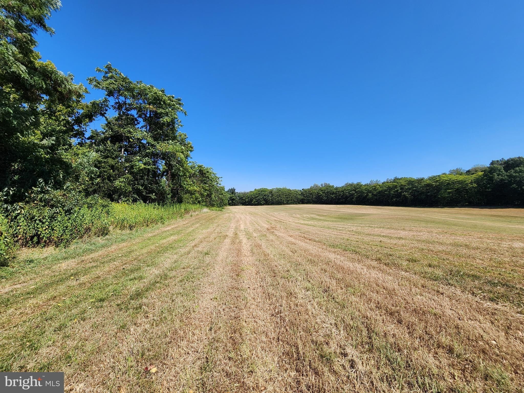 Whites Ferry. Dickerson, MD 20842