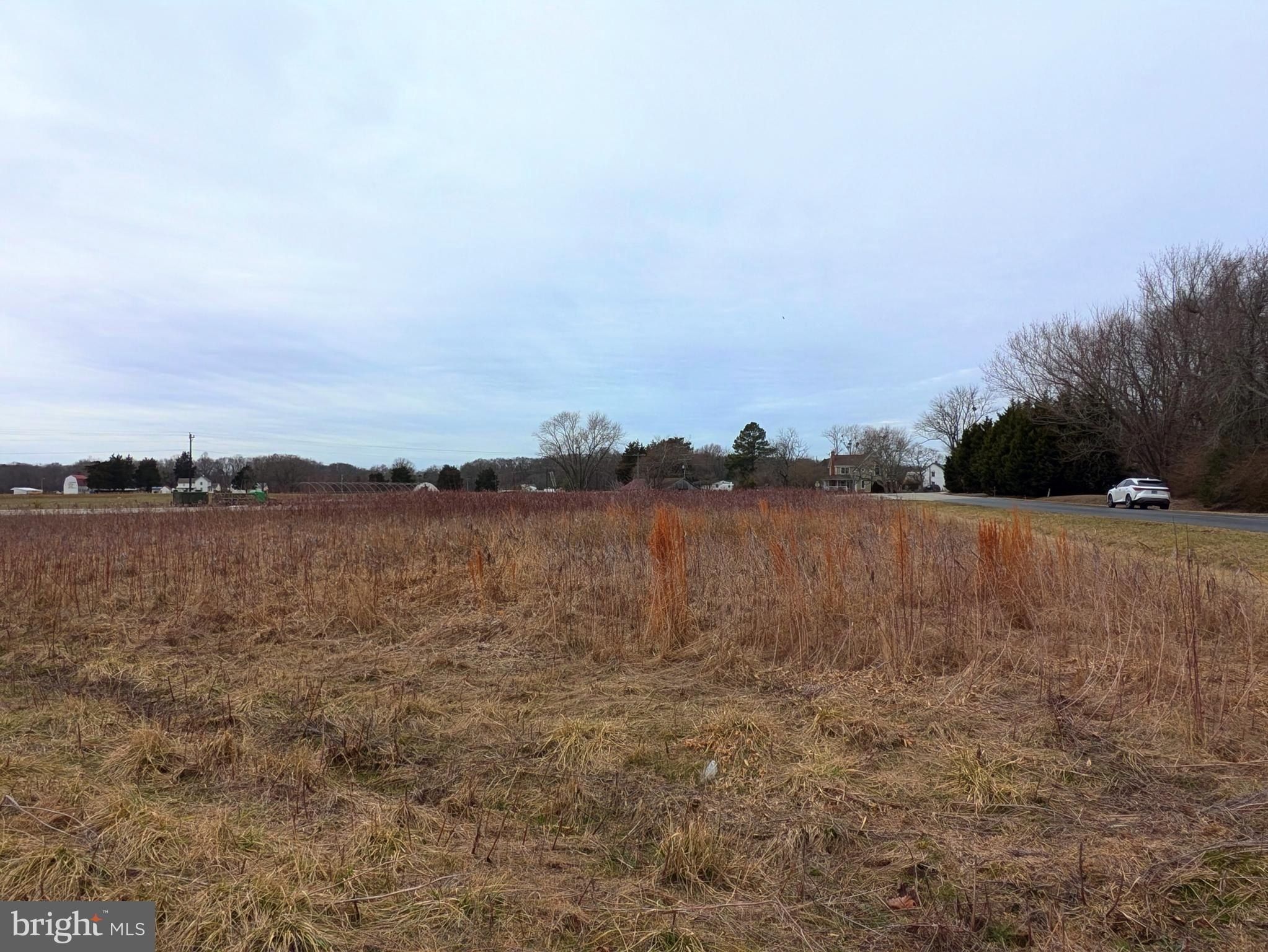 Neighbors Road. Centreville, MD 21617