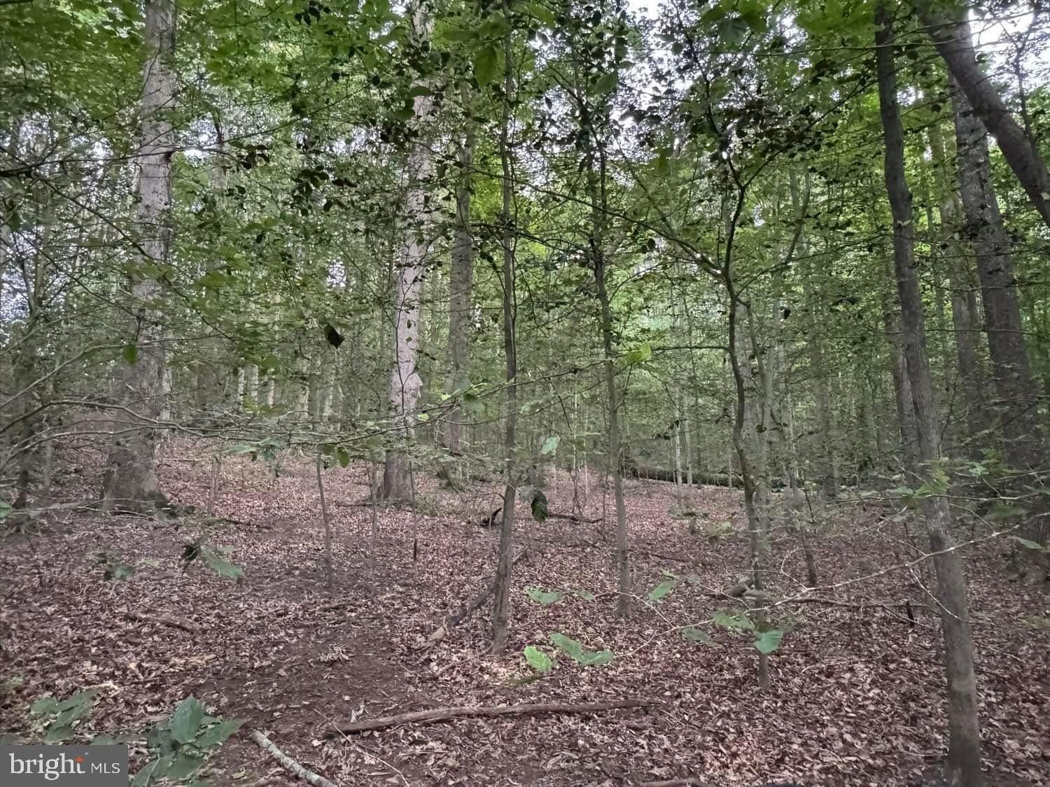 3515B Clayton Road. Joppa, MD 21085