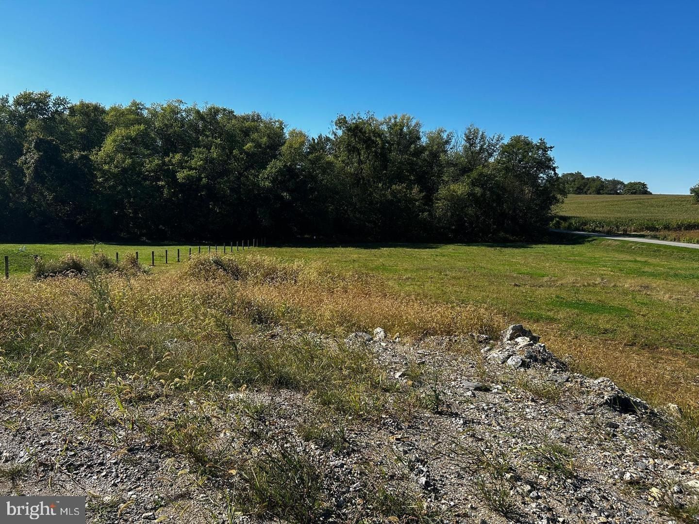 7192 Rosalees Way. Frederick, MD 21701