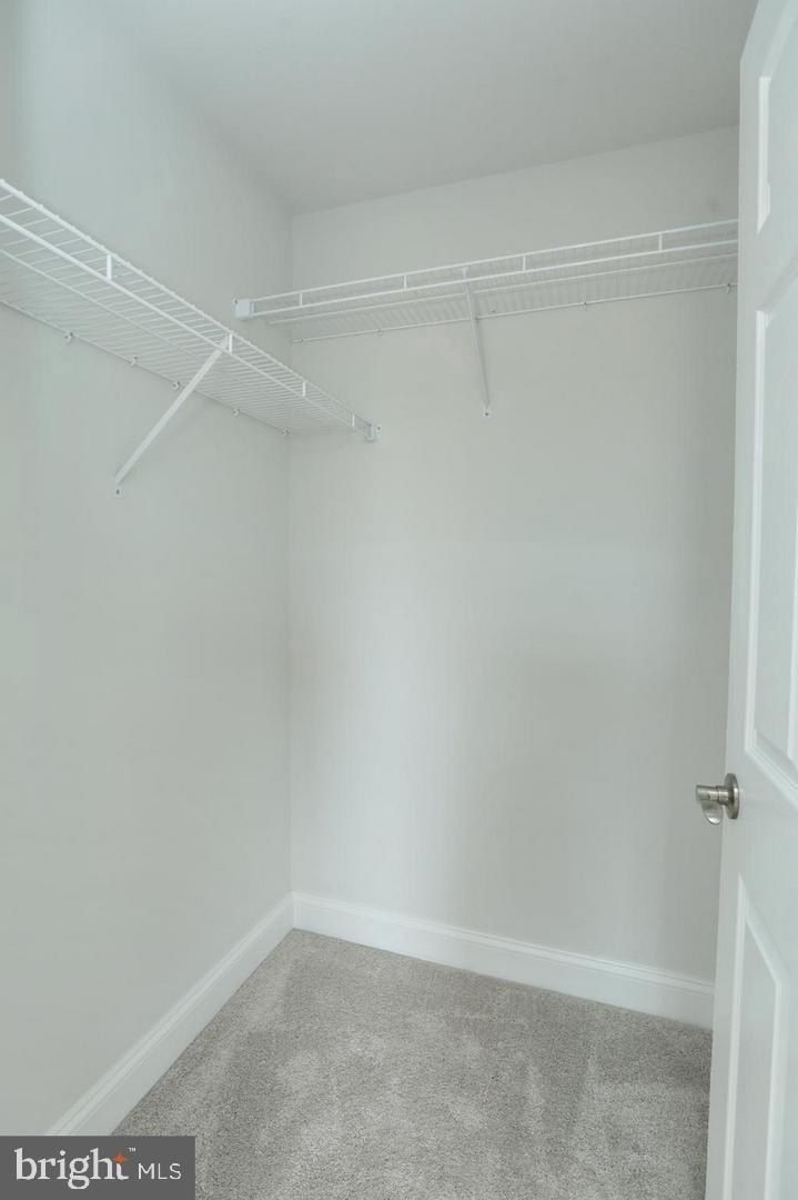 3116 Alfalfa Circle. La Plata, MD 20646