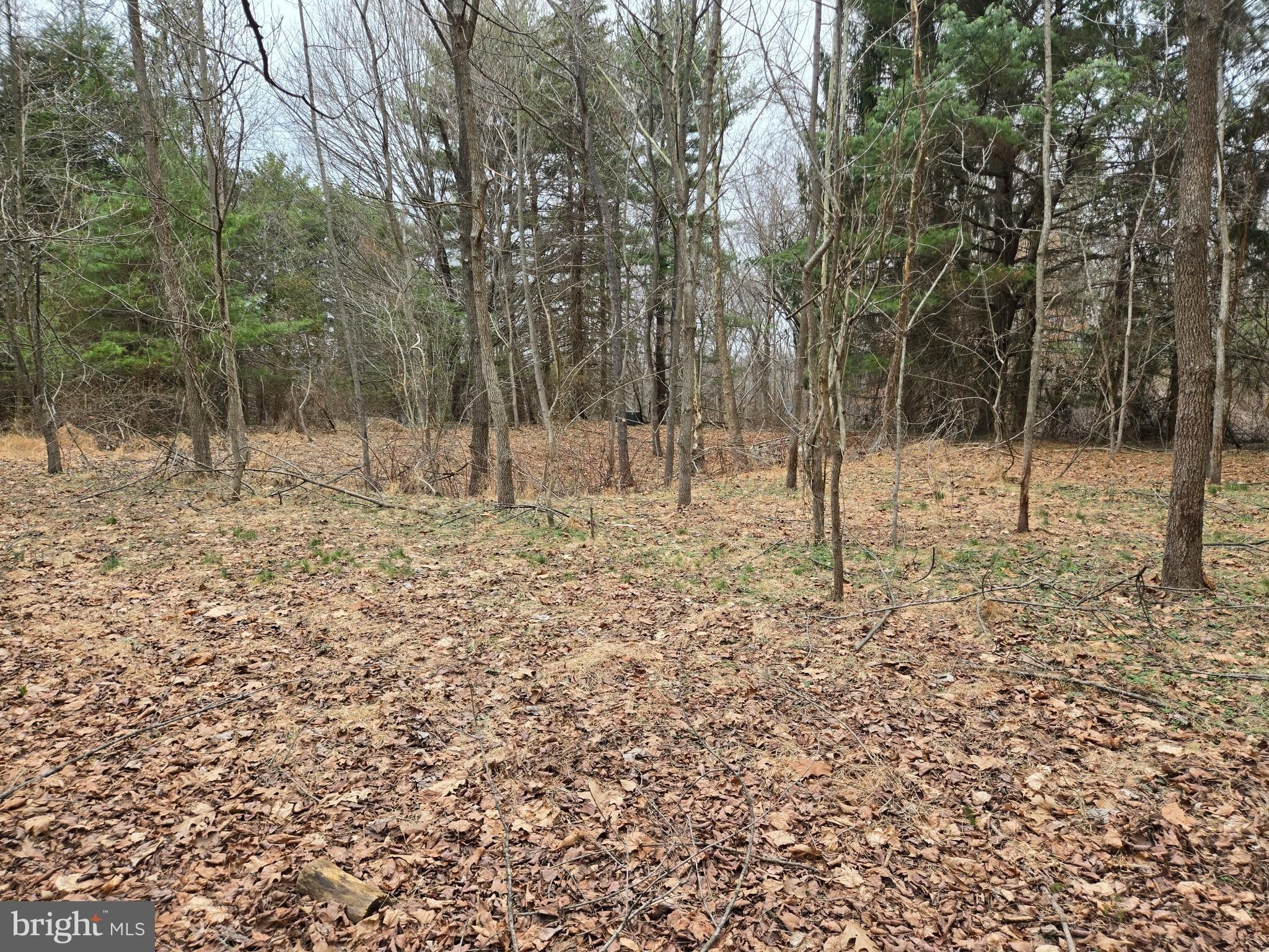 Farmington. Woodbine, MD 21797