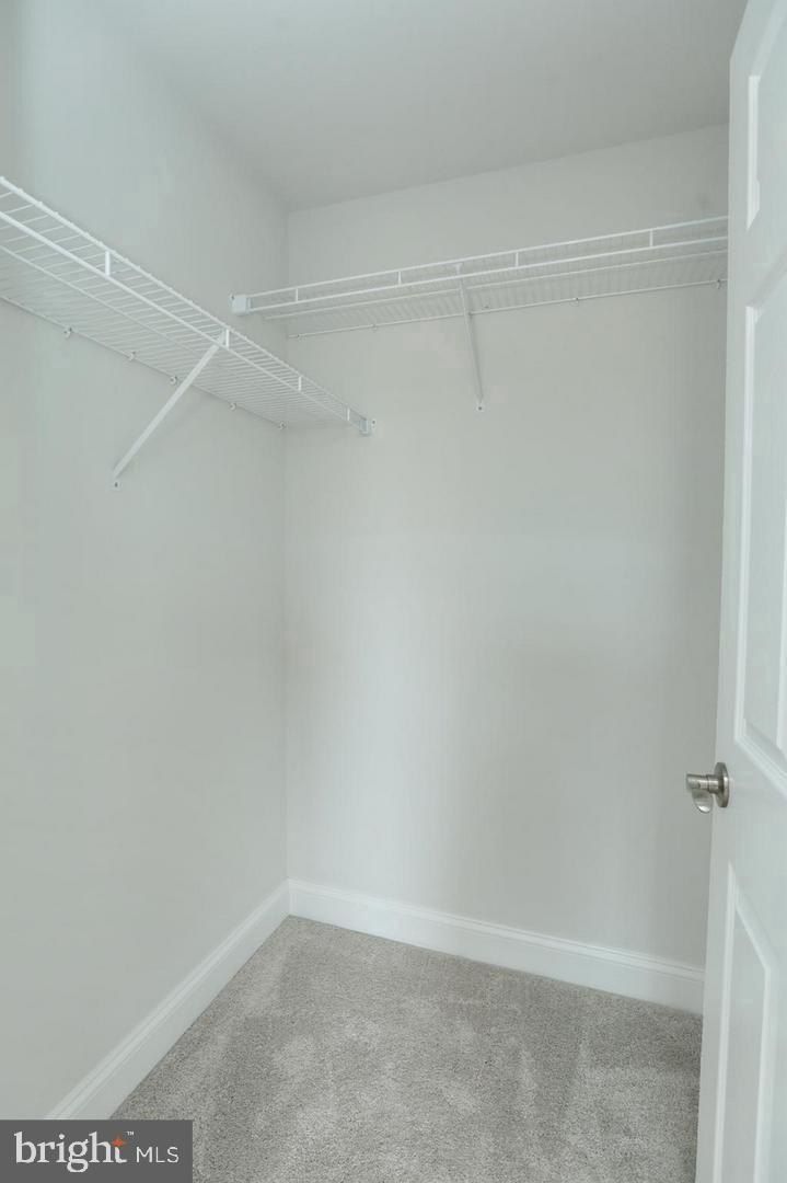 3116 Alfalfa Circle. La Plata, MD 20646