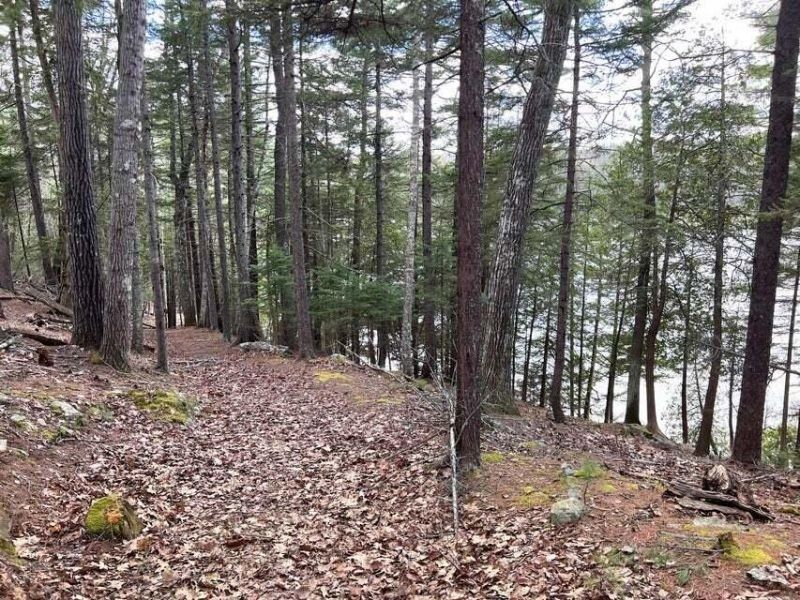 30 Tinker Meadow Way. Ellsworth, ME 04605