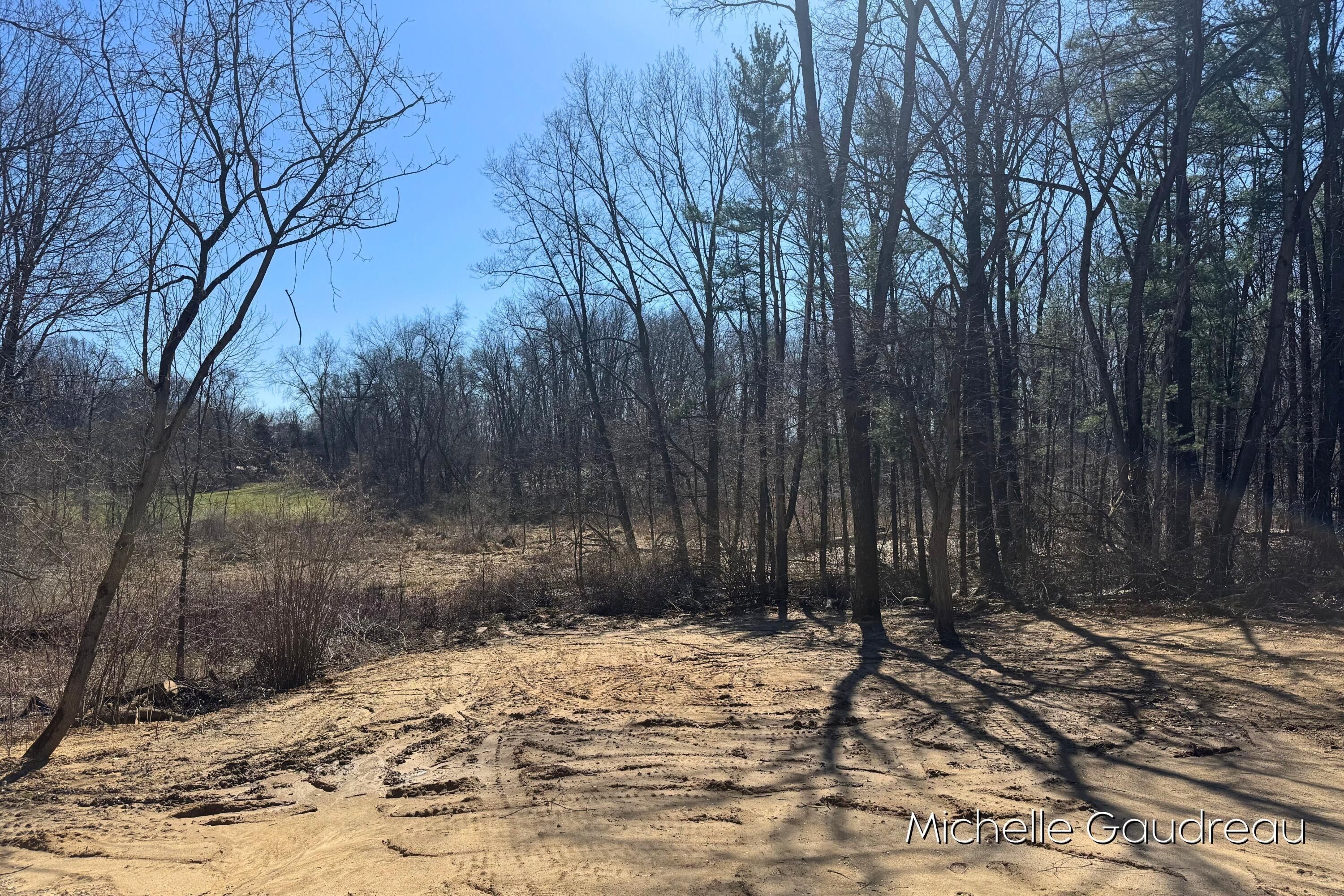 1079 Arlington Street. Middleville, MI 49333