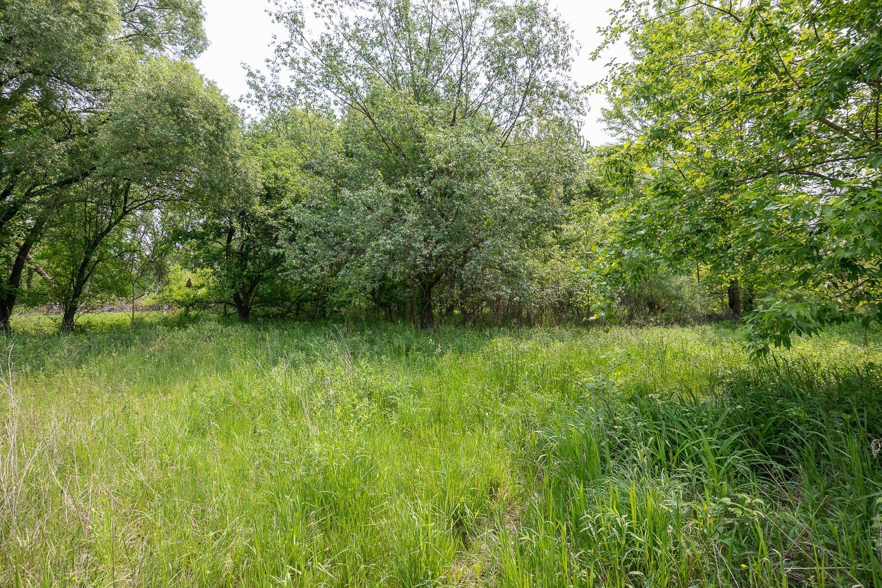 197 E Elm Street. Cedar Springs, MI 49319