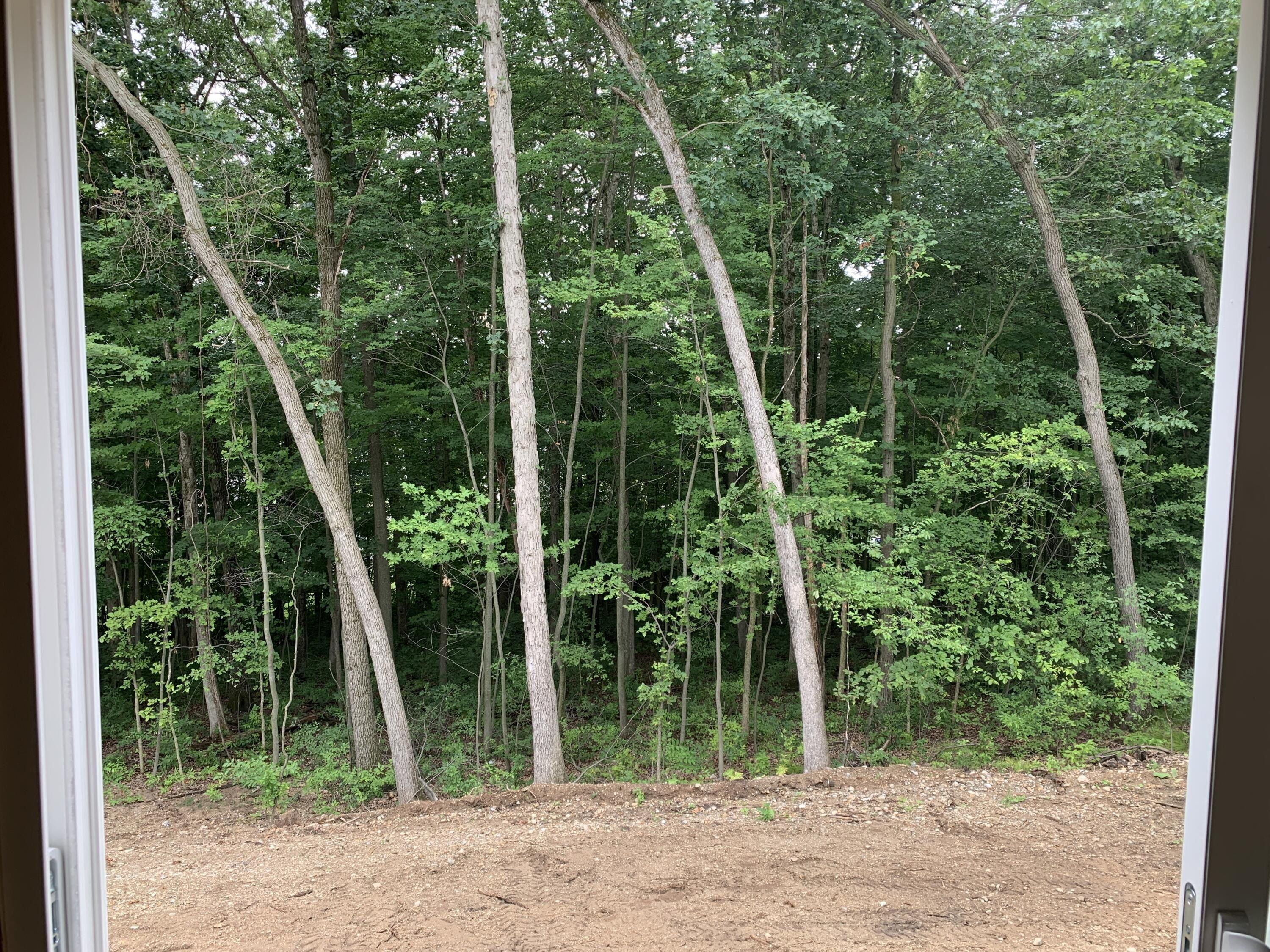 1465 Kimber Drive. Lowell, MI 49331