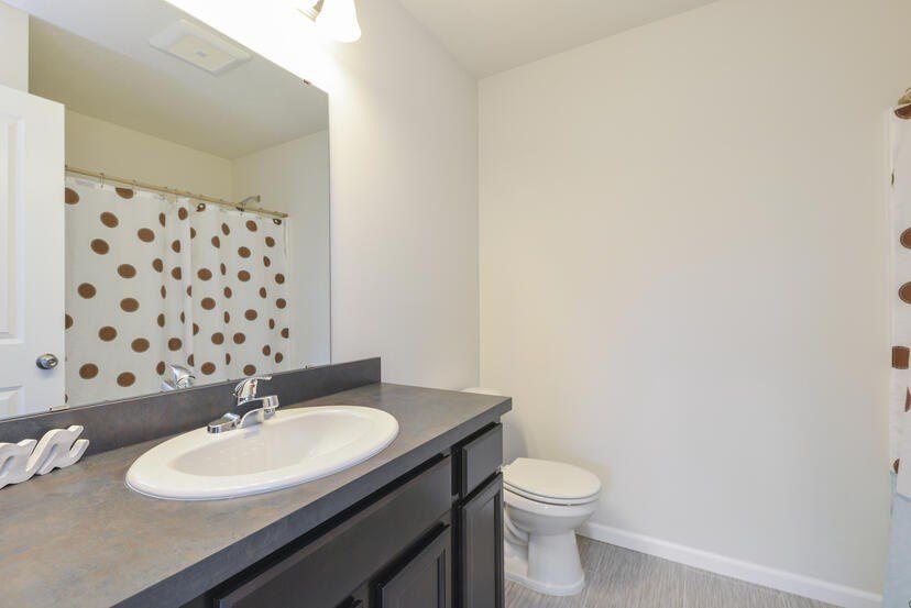 4245 Butternut Drive. Wayland, MI 49348