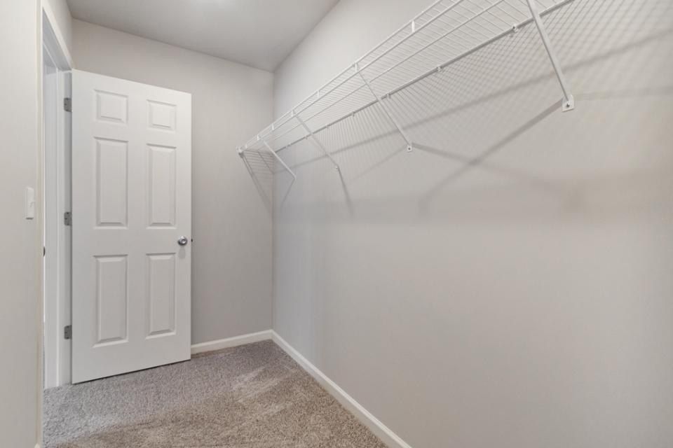 541 Snow Pine Court Ne. Cedar Springs, MI 49319