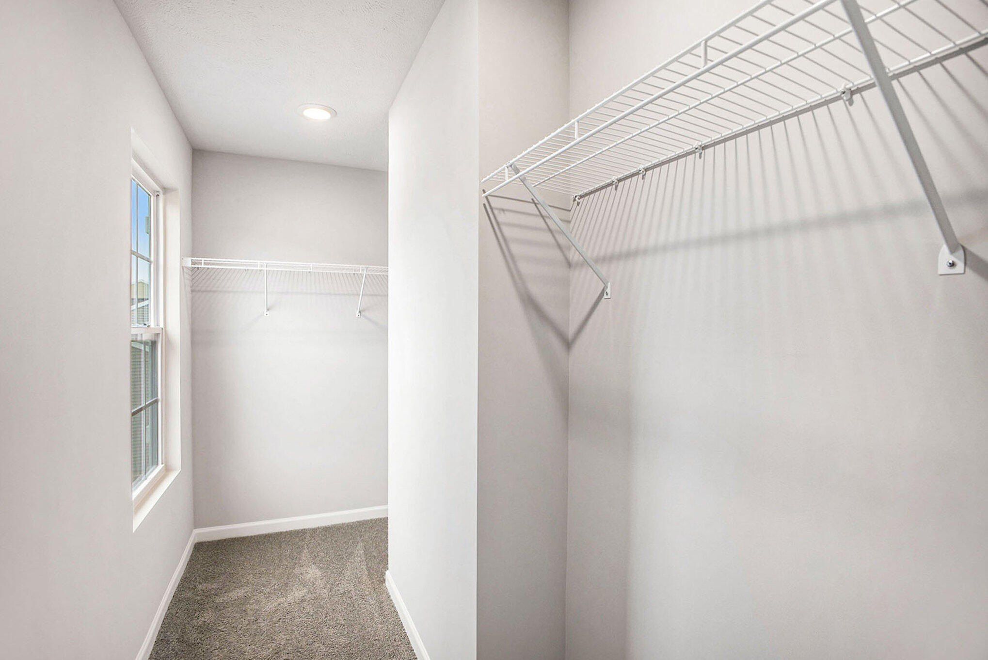 570 Hawk Wood Court. Cedar Springs, MI 49319