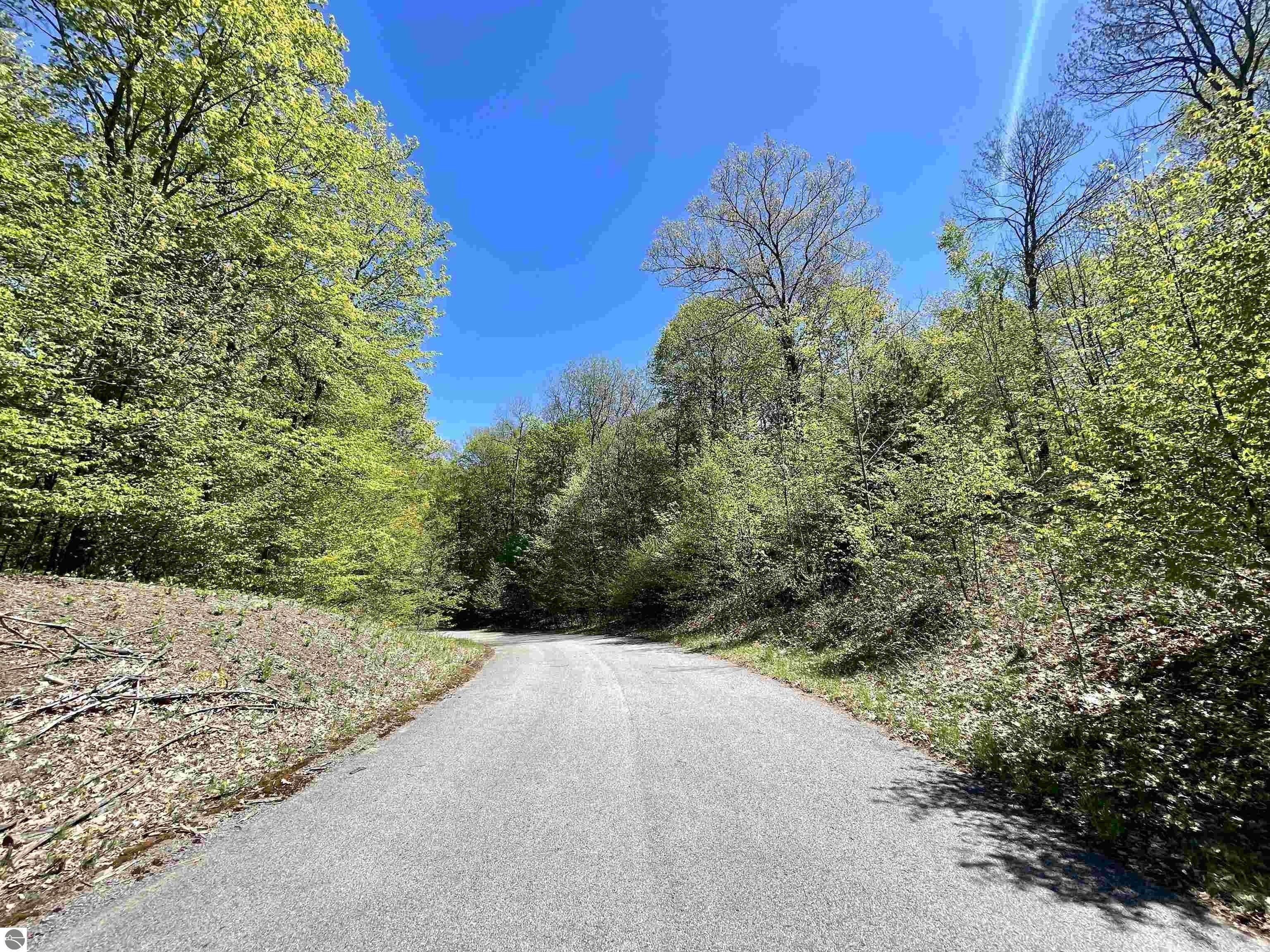 Unit 18 S Club Drive. Cedar, MI 49621