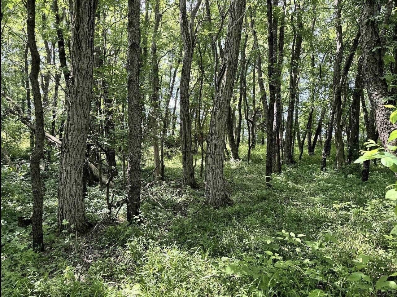 2507 S Waldron Road S. Hudson, MI 49247