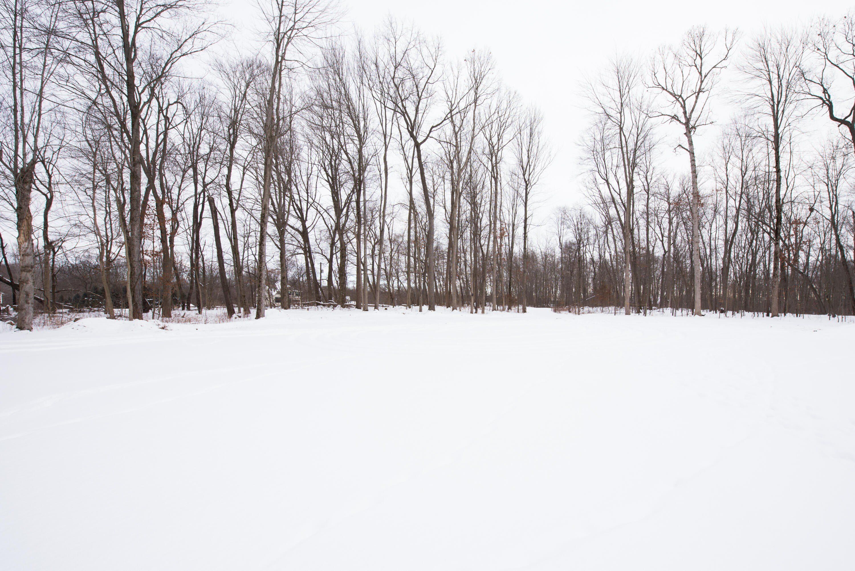 1070 Ashlyn Court. Fowlerville, MI 48836