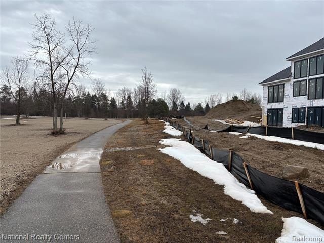 10376 Rosemarie Run Run. Brighton, MI 48114