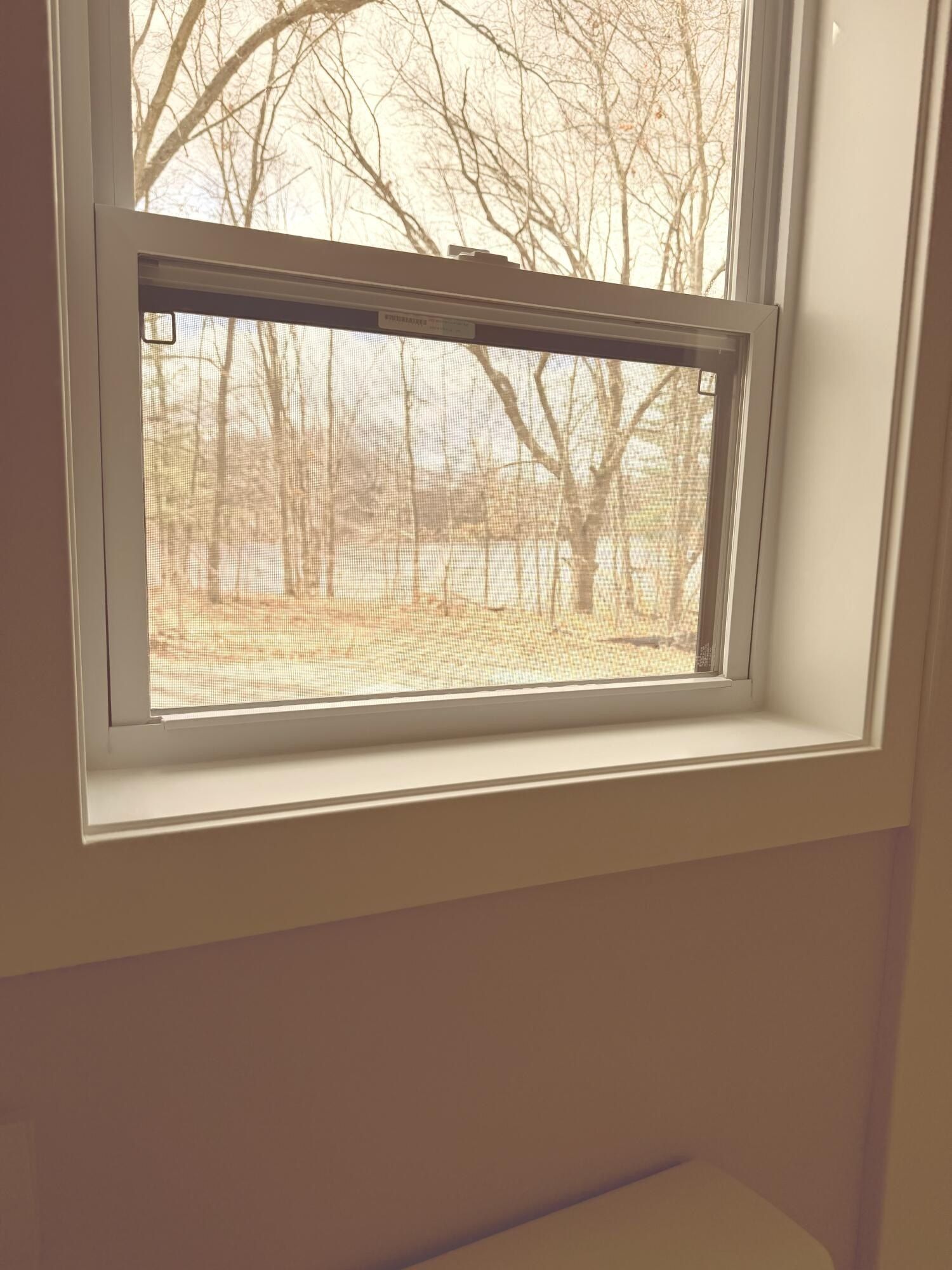 4429 Meadow Brook Lane. Greenville, MI 48838