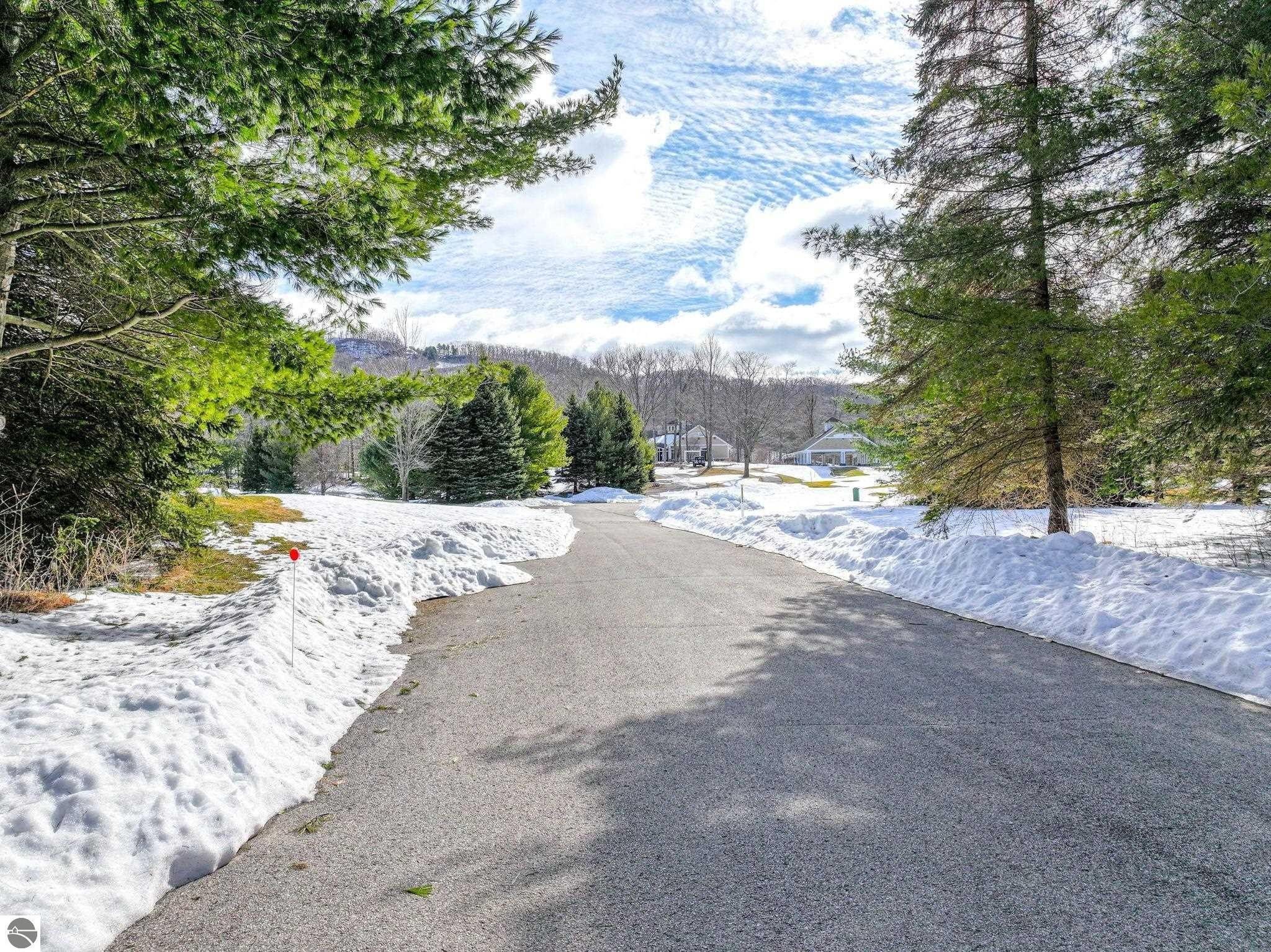 16 S Club Drive 16. Cedar, MI 49621