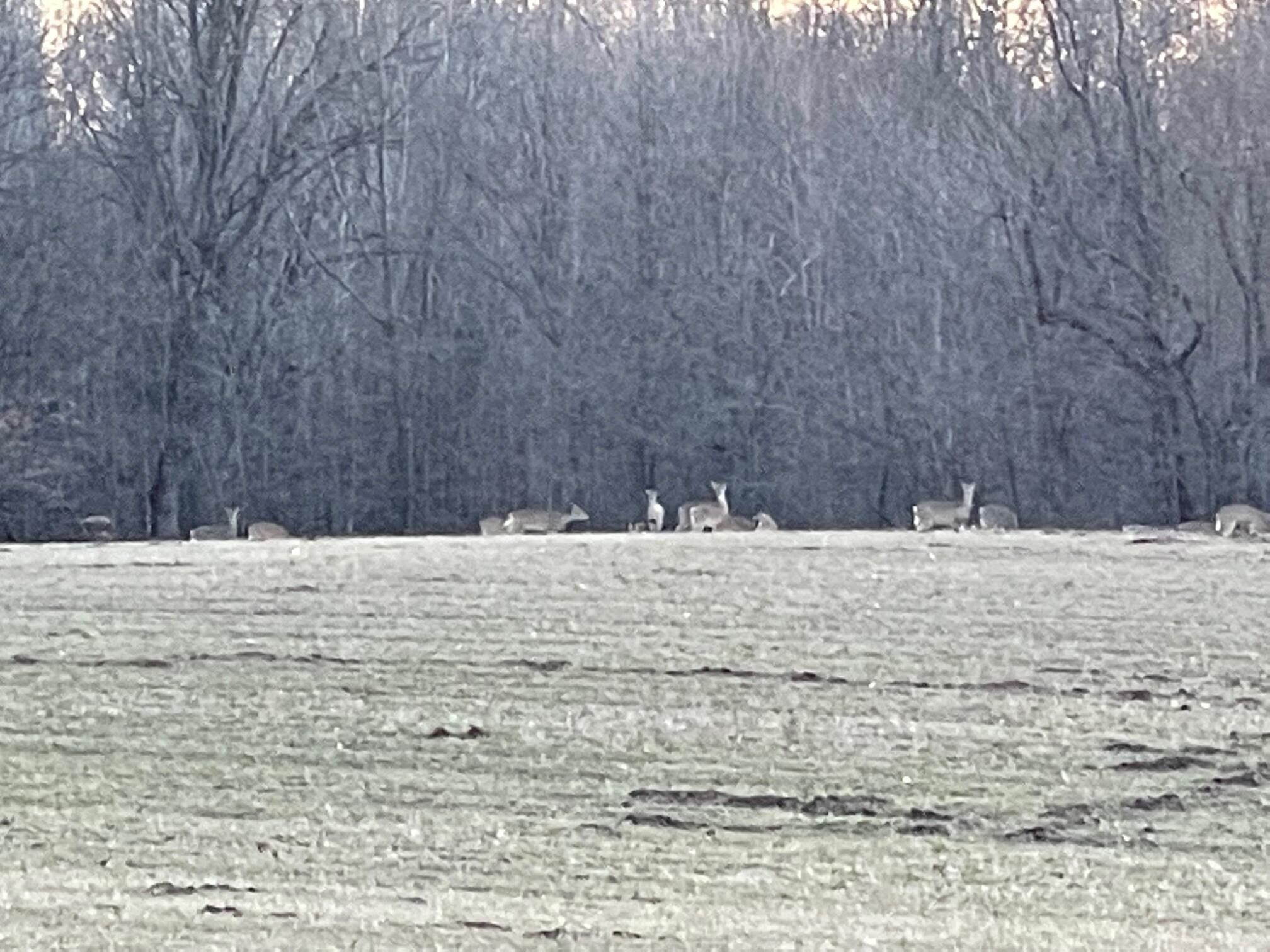 4580 34Th Street. Zeeland, MI 49464