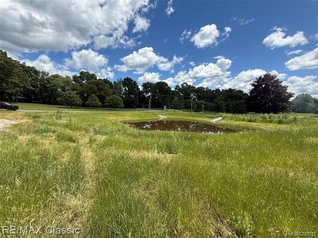 1500 Buttercup Trail. Milford Twp, MI 48381