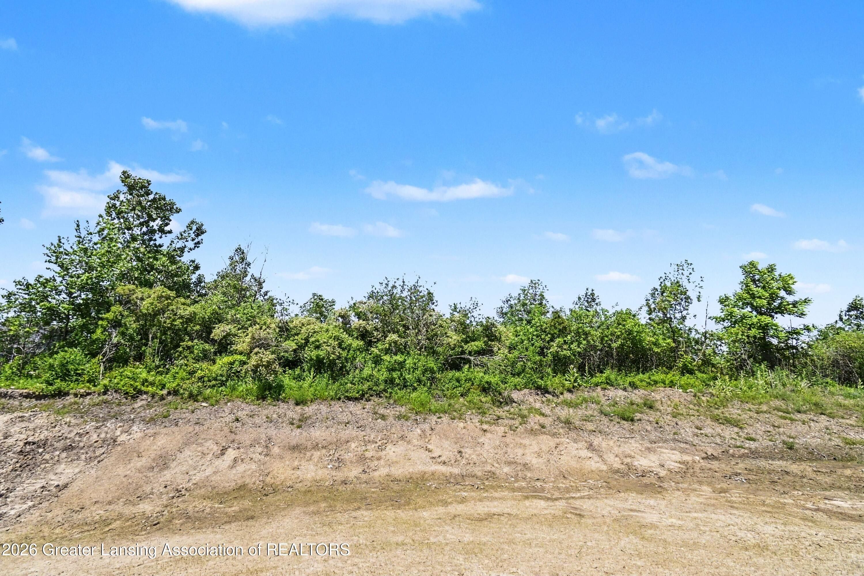 4583 Cambria Court. Potterville, MI 48876