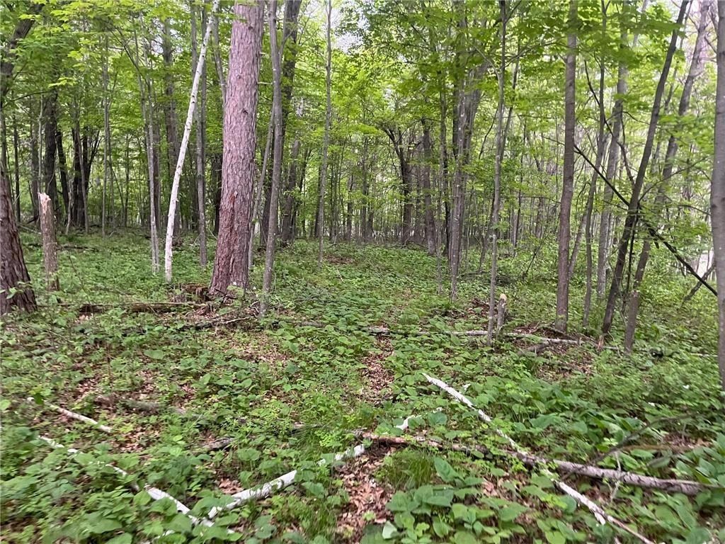 Xxx Crust Road. Brainerd, MN 56401