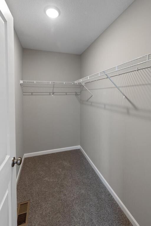 14744 Zeolite Street Nw. Ramsey, MN 55303