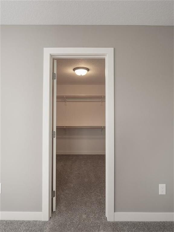 5913 Rub Of The Green Street. Saint Cloud, MN 56304