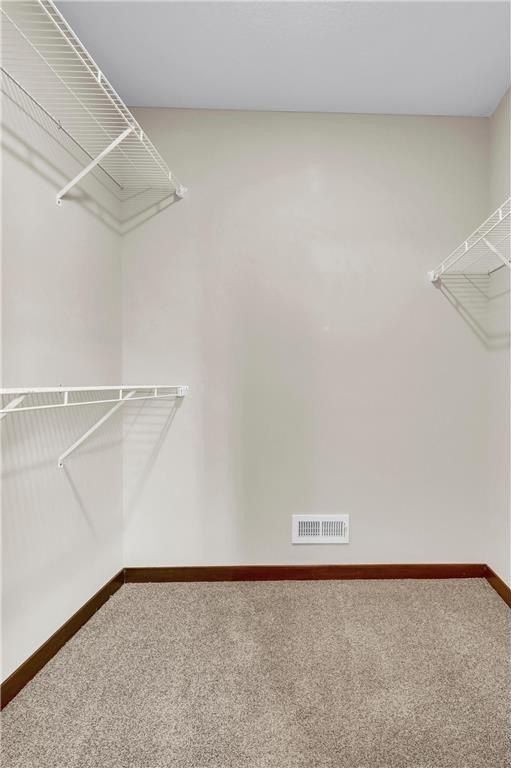 805 Prateria Avenue. Avon, MN 56310