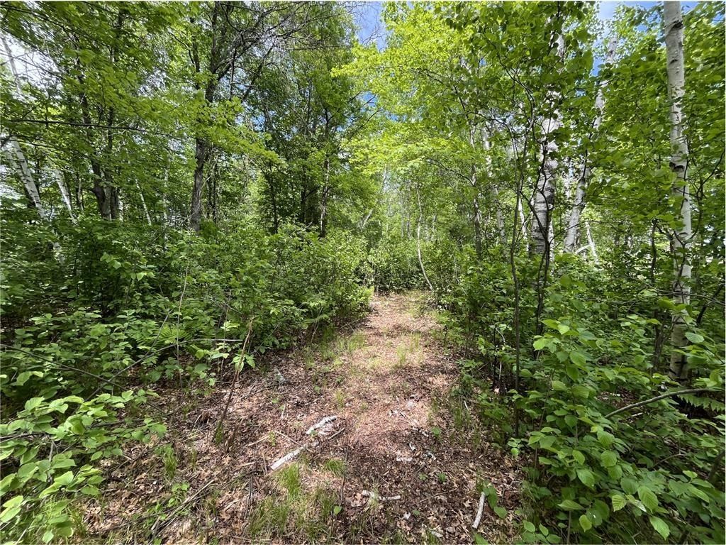 13384 Sorenson Lake Road. Merrifield, MN 56465
