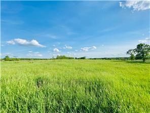 1255 130Th Avenue. Ogilvie, MN 56358