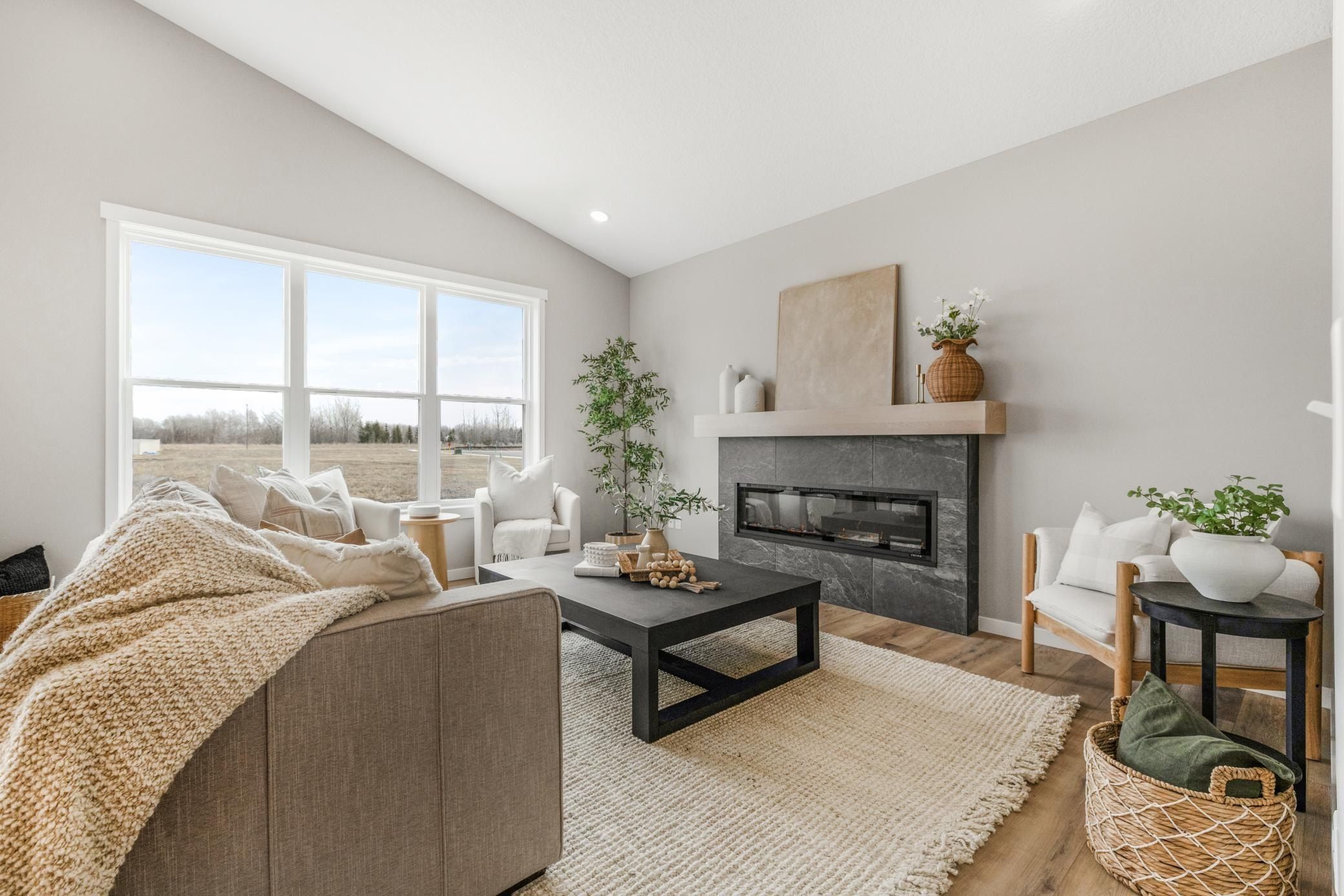 713 David Way. Isanti, MN 55040