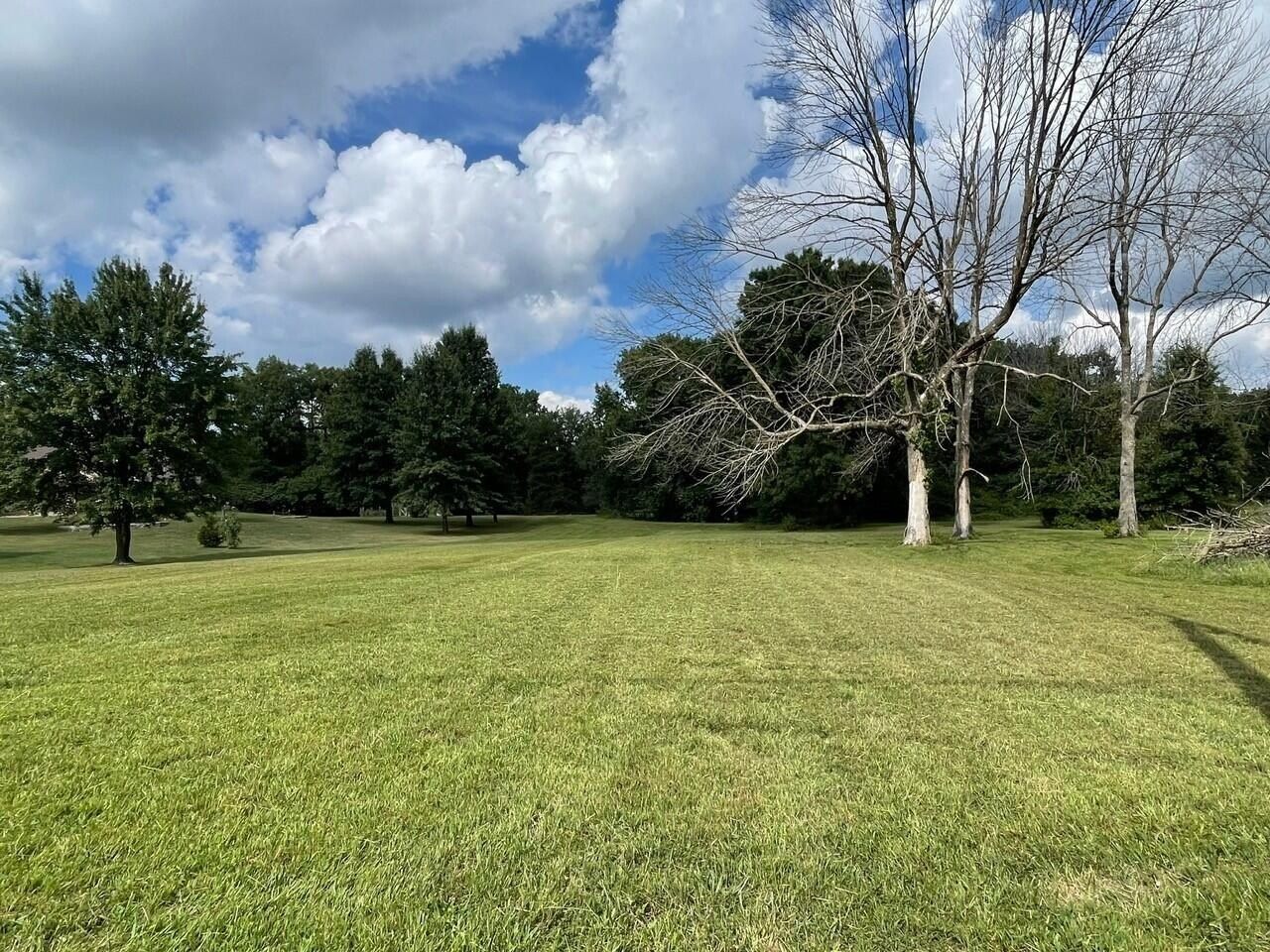 209 W Teal Lake Road. Mexico, MO 65265
