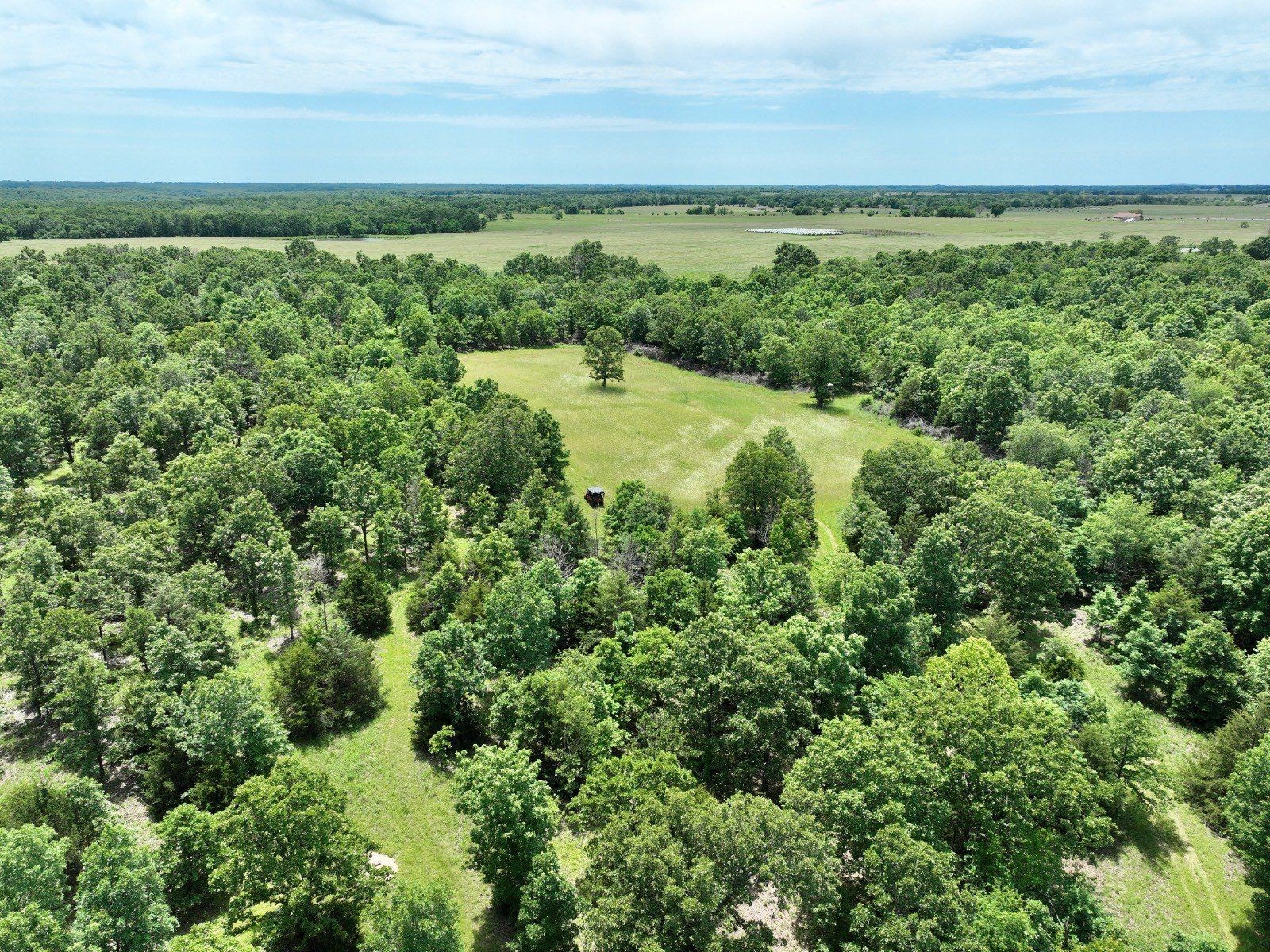 29694 E B Hwy. Sheldon, MO 64784