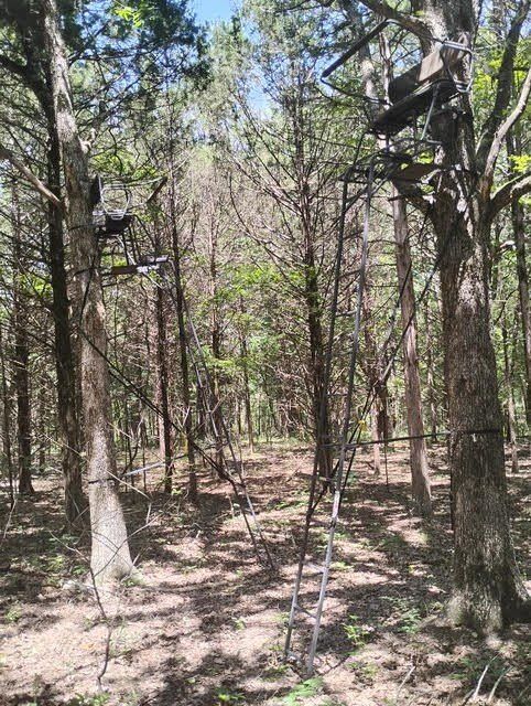 125 Blessing Way. Protem, MO 65733