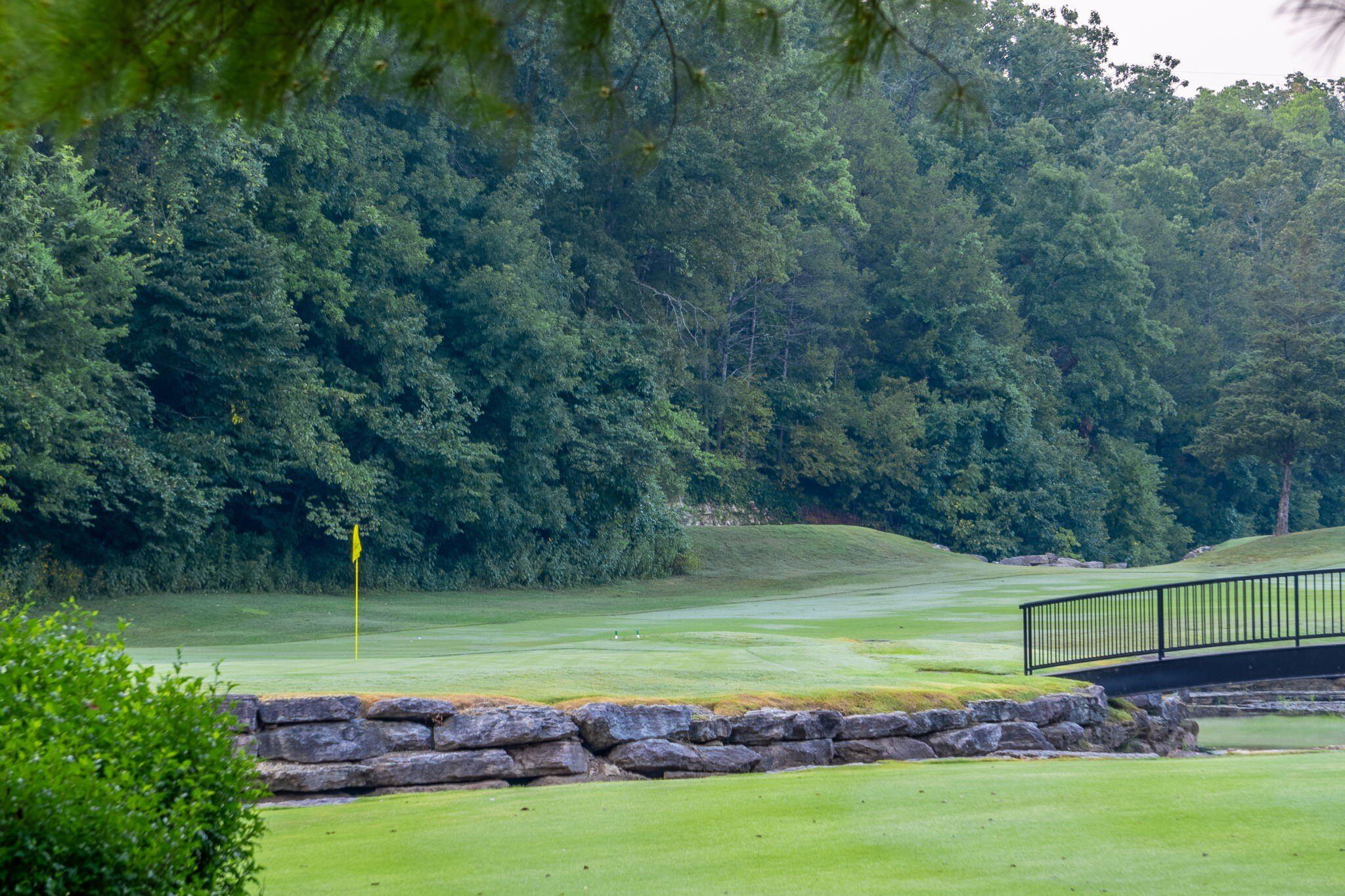 173 Fox Hollow Road. Branson West, MO 65737