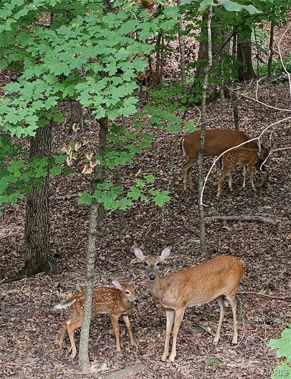 138 N Lake Sherwood Dr. Lake Sherwood, MO 63357