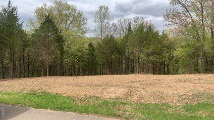 11524 Ten Point Lane. Festus, MO 63028