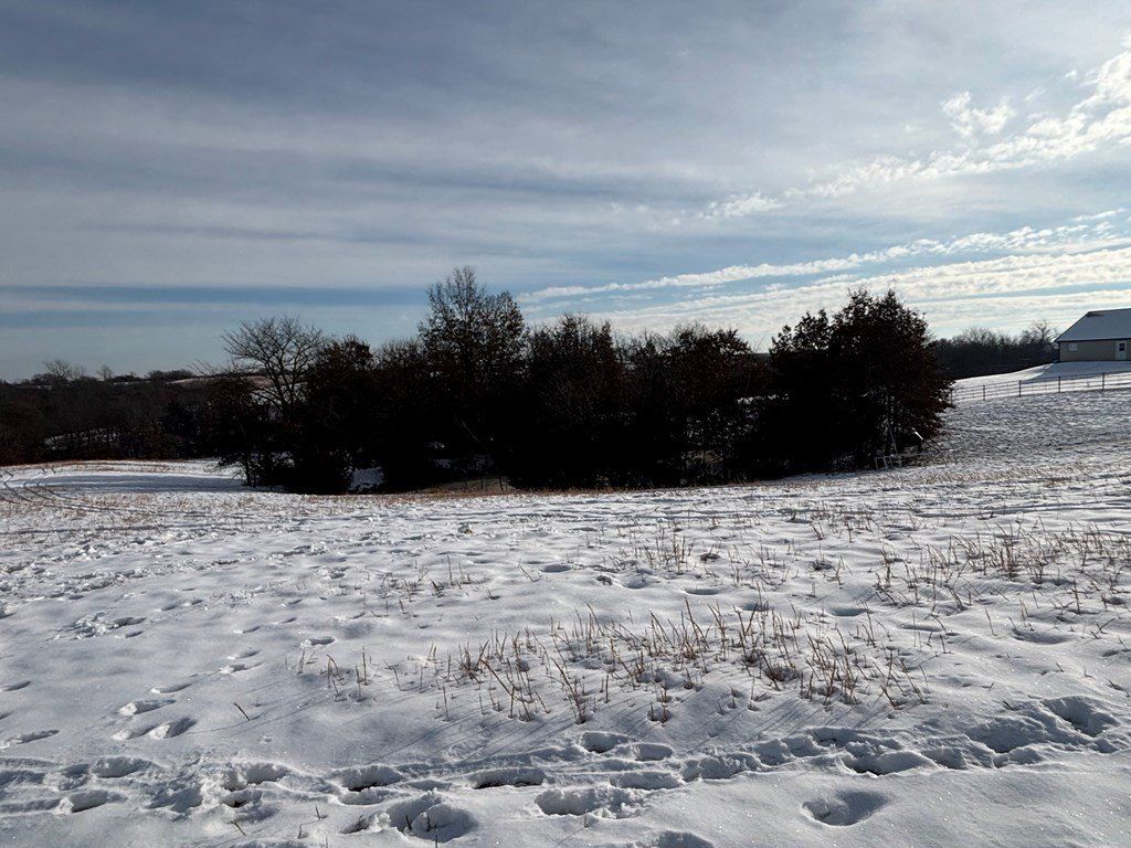 34703 Lyman Road. Bucklin, MO 64631