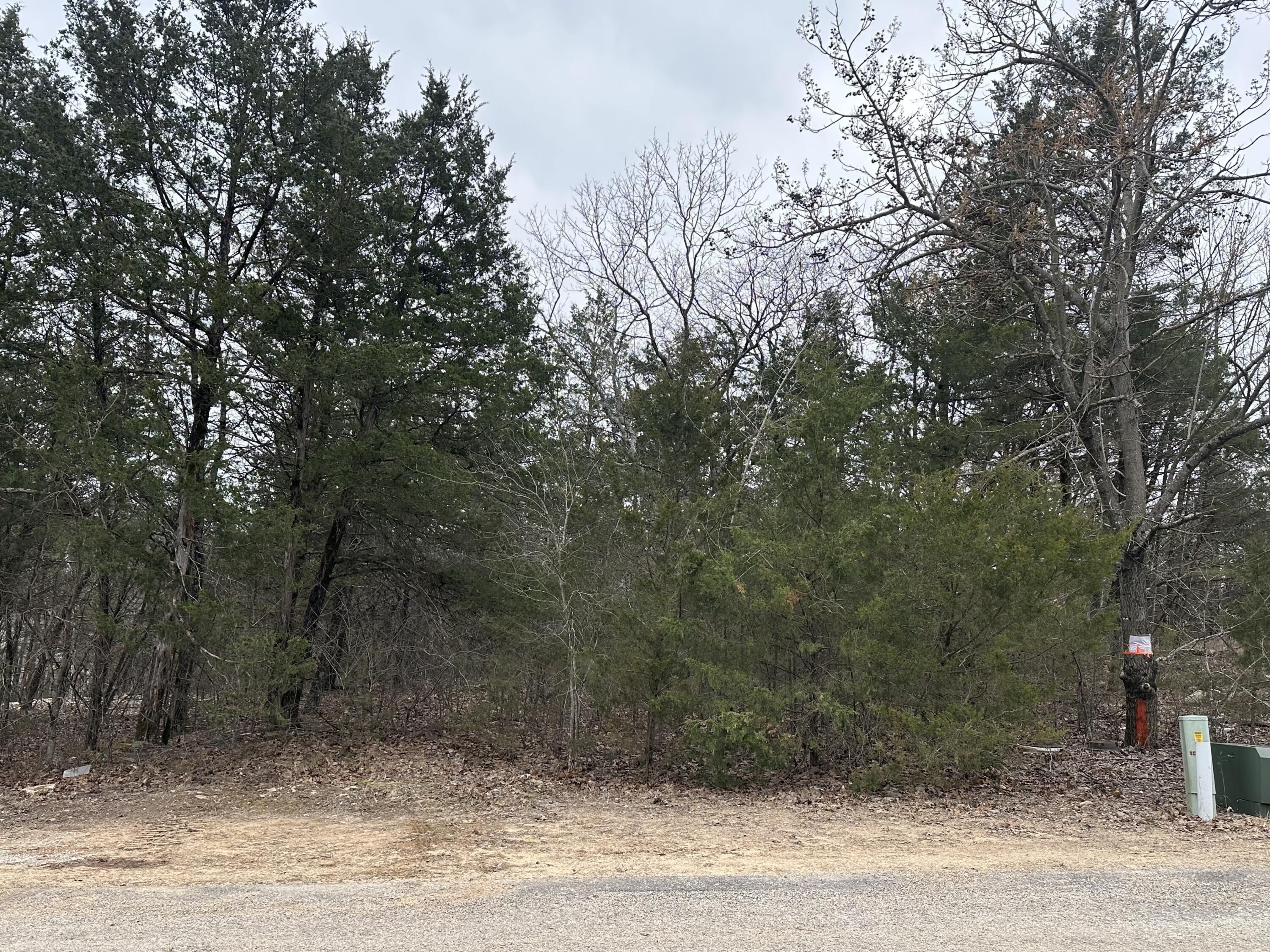 560 Pine Woods Village Drive Lot 18. Hollister, MO 65672