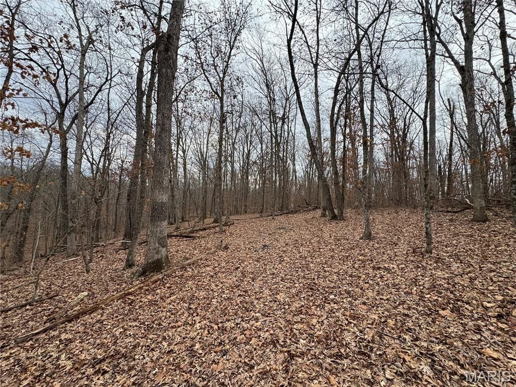 0 Old Williamsburg Rd 3748 Ac. Montgomery City, MO 63361