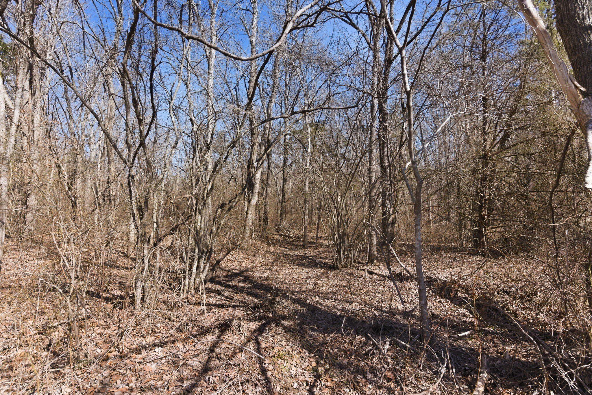 12134 State Hwy D. Thornfield, MO 65762