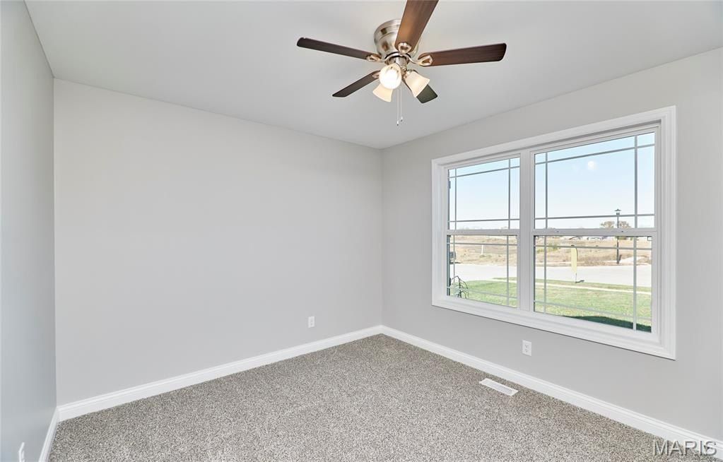 128 Peruque Creek Manor. Wright City, MO 63390