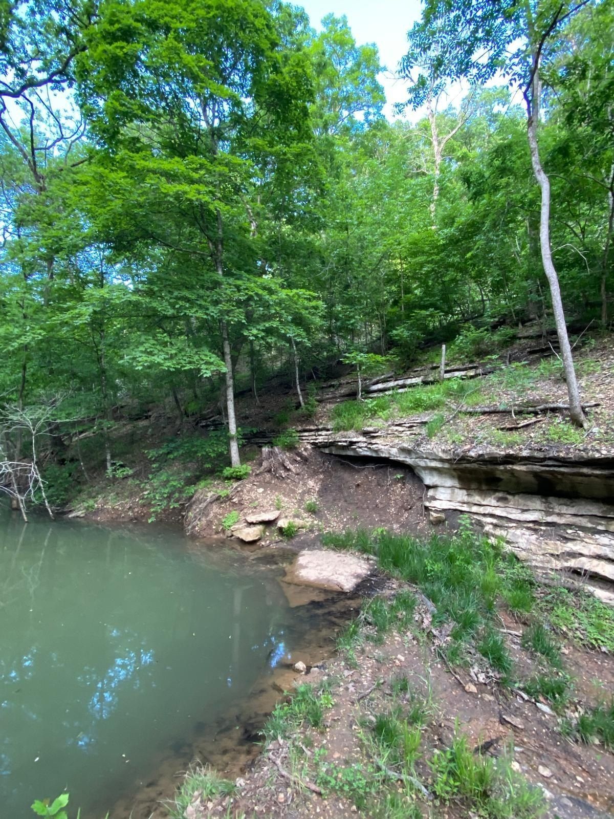 1590 Red Rock Road. Galena, MO 65656