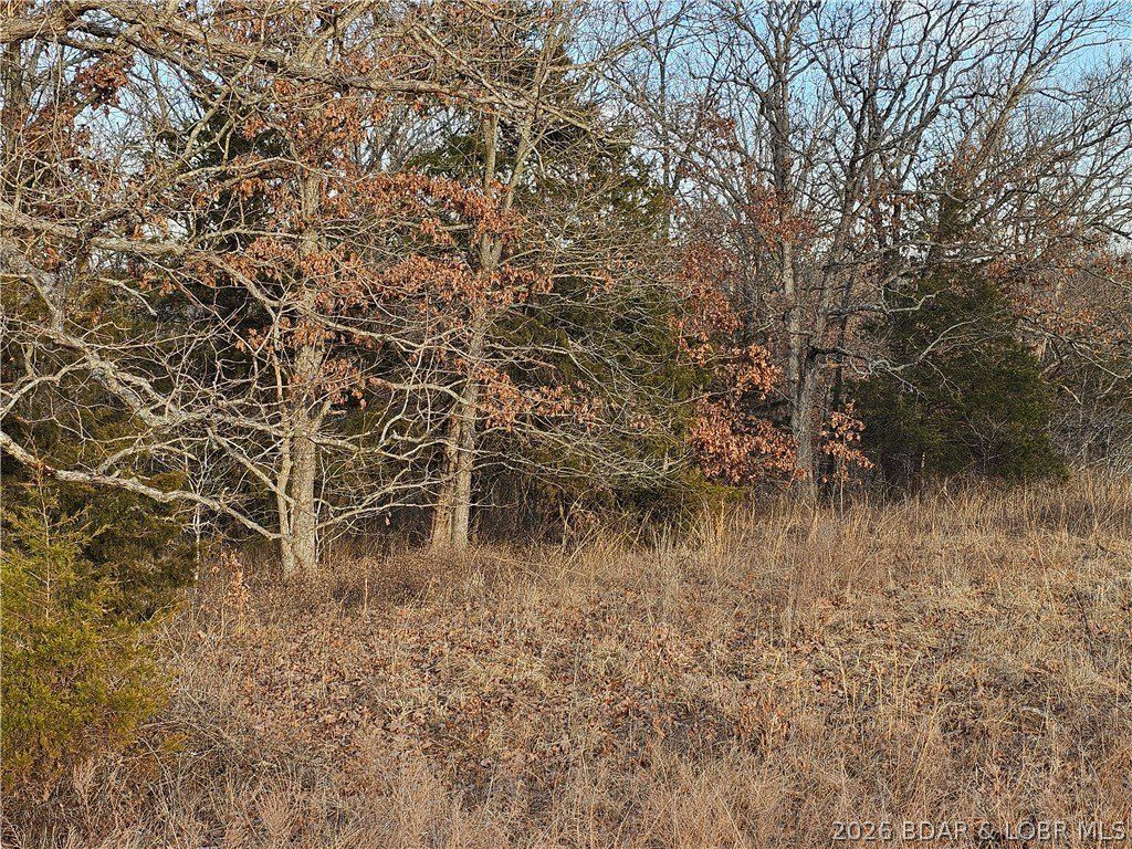 24215 Songbird Lane. Barnett, MO 65011