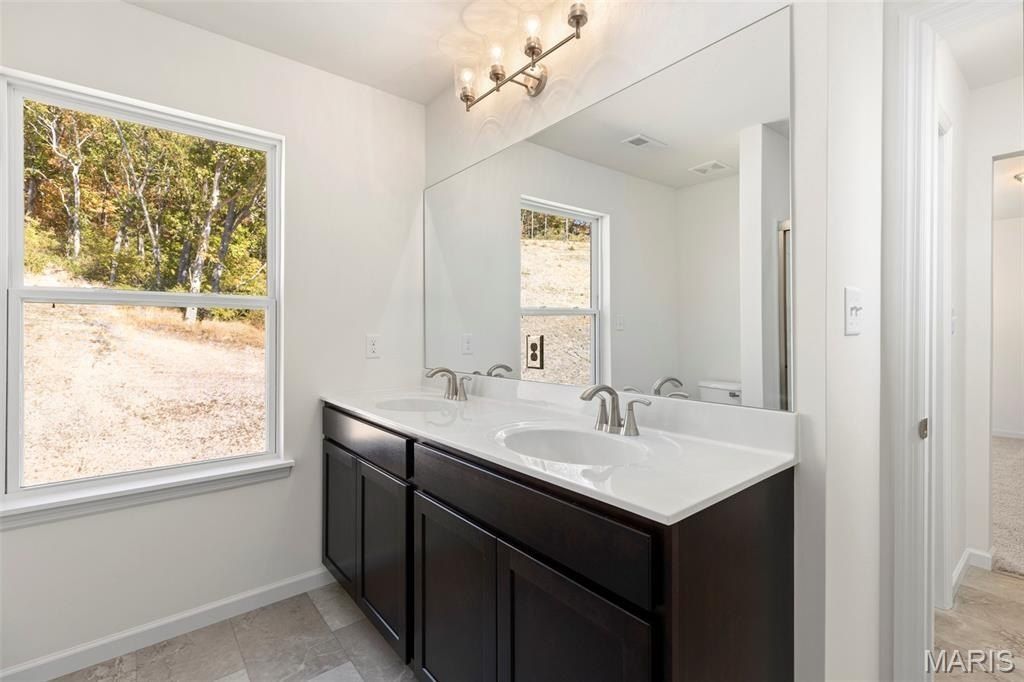 527 Apple Orchard Lane. Wentzville, MO 63385