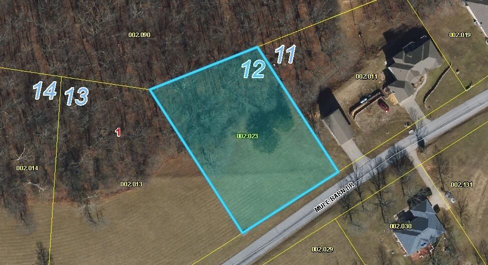 Mule Barn Drive Lot 12. Cape Fair, MO 65624