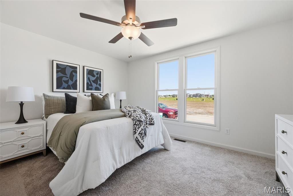 1712 Dyess Street. Saint Charles, MO 63301