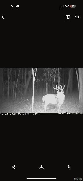 Robin Road. Bellflower, MO 63333